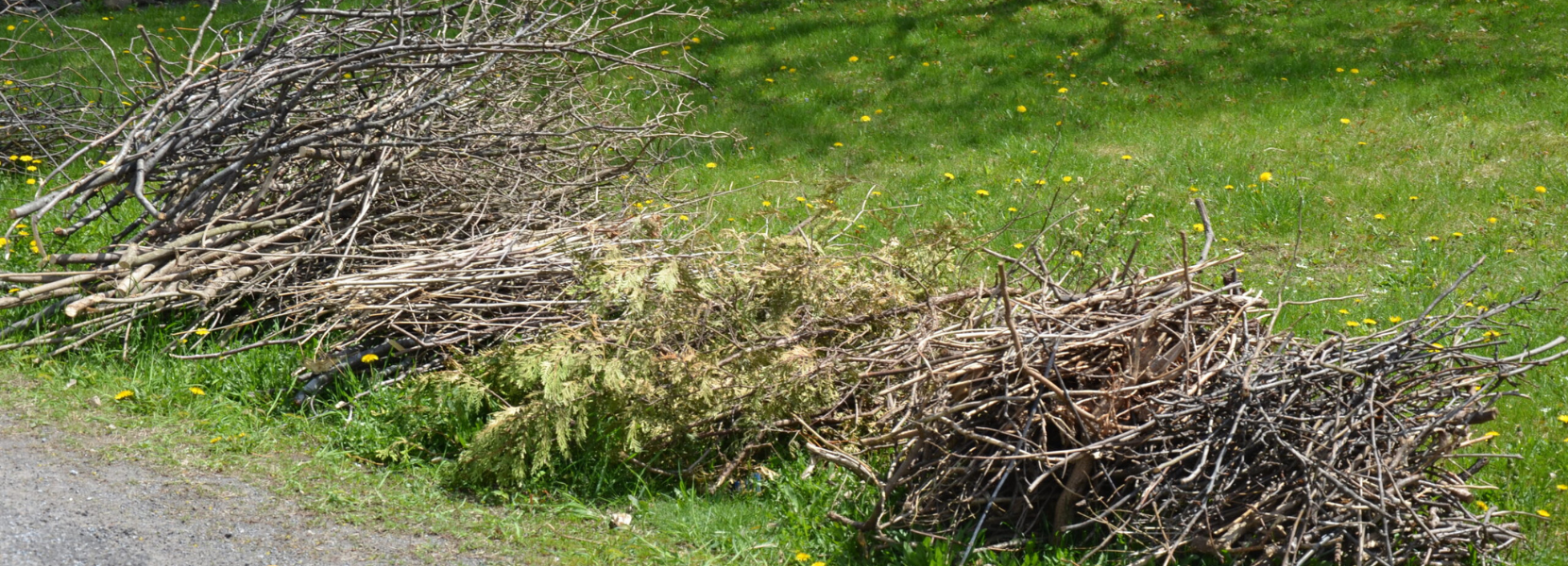 Image de bannière